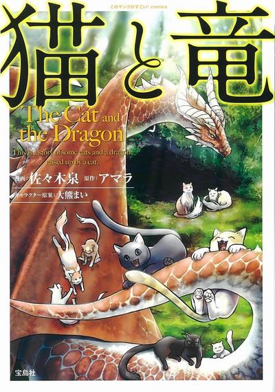 猫与龙